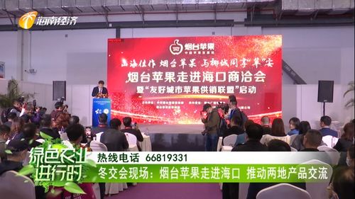 煙臺蘋果香飄?？?冬交盛會架起南北交流新橋梁